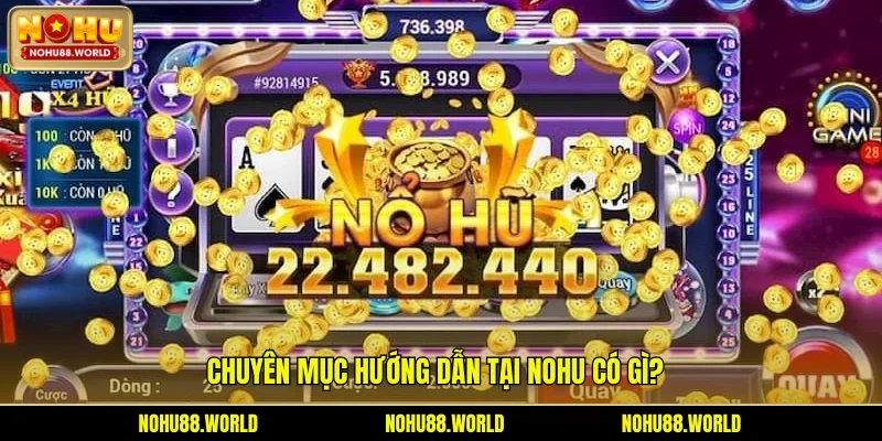 Chuyên mục hướng dẫn tại Nohu có gì?